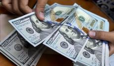 Dollar həftəyə bu qiymətlə başladı