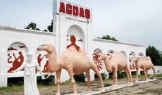 Pulsuzluqdan barmağı kəsilən qazinin ürəkparçalayan müraciəti