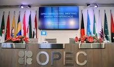 OPEC üzvləri dekabrda neft hasilatını 310 min barrel azaldıb