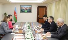 Mədət Quliyev Çingiz Qurbanovun meyitinin qaytarılması ilə bağlı BQXK nümayəndəliyinin rəhbəri ilə görüşüb