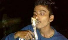 İlanla selfi çəkdirmək istədi, zəhərindən xilas edilə bilmədi - FOTO