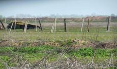 Qarabağda döyüşlər qızışdı, erməni podpolkovnik öldürüldü