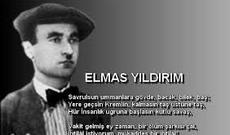 Almas İldırımın yubileyi qeyd olunacaq