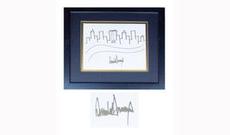 Trampın çəkdiyi şəkil hərracda 29 min dollara satılıb