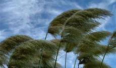 Sabah hava necə olacaq?