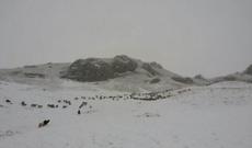 Azərbaycana ilk qar yağdı