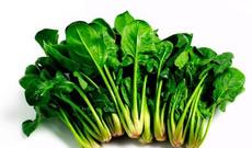 İspanaq partlayıcı maddələri aşkar etməyə kömək edəcək