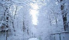 Bu gün qar yağacaq