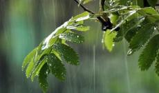 Sabah hava necə olacaq?