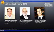 Kimya üzrə Nobel mükafatının sahibləri bəlli oldu