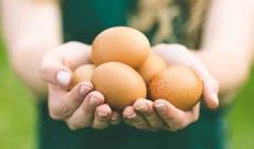Tonlarla yumurta satışdan yığışdırılır