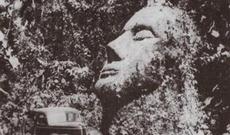 Cəngəlliklərin gizlətdikləri sirlər