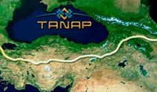 TANAP-ın tikintisi müvəqqəti dayandırıldı