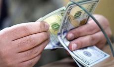 Dollar gələn həftəyə belə başlayacaq