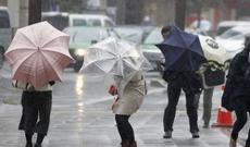 Paytaxtda yağış, bölgələrdə qar yağacaq