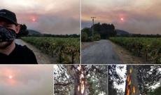 Kaliforniyada ağaclar içlərindən, öz-özlərinə odlanır?