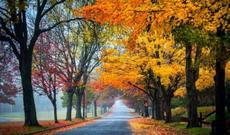 Sabah hava necə olacaq?