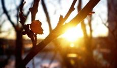 Sabah hava necə olacaq?