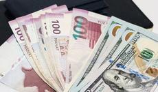 Dollar cüzi bahalaşdı