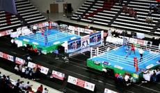 2 boksçumuz Avropa çempionatının yarımfinalında