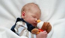 Azərbaycanda Adam adlı 11 nəfər yaşayır