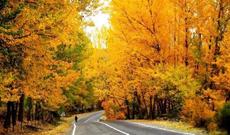 Noyabrda hava necə olacaq?