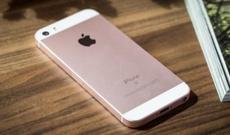 Yalan “5500 yaşı olan ayaqqabı” geyinər, amma yeriməz-Yeni erməni həyasızlığı