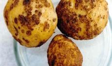 Bu adam kartofdan sərxoş olur - Qəribə xəstəlik