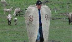 1800 manat maaşla çoban tapılmır