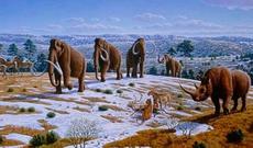 12 min il əvvəl yer Yer kürəsinda nüvə müharibəsı baş verib?