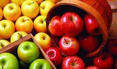 Cavanlıq iksiri tapıldı – Alimlərdən yeni kəşf