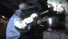 Tüstü bacasından kilolarla bal çıxdı - Video