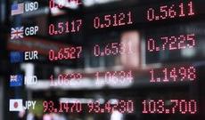 Dolların məzənnəsi dəyişmədi, avronun məzənnəsi isə artdı