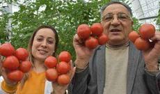 “Azərsun”un keçmiş vitse-prezidentinin 17 milyonluq biznesi batır