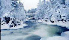 Donmuş çaya yıxılan qadını xilas edən şəxs qəhrəman elan edildi