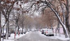 Qışda buzlu suda çimdilər: rəqs etdilər