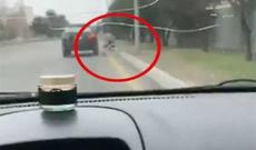 Bakıda “Lexus”lu dilənçi - VİDEO