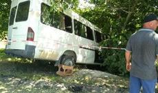 Şimali Koreyada  “donuz qripi" tuğyan edir