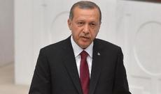 İranda 21 milyon toyuq məhv edilib
