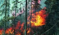 Mübariz Mənsimov müflis olub, mülklərini satır?