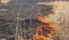 Kənd Təsərrüfatı Nazirliyinin bəzi səlahiyyətləri ləğv olunur