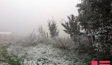 Bakıya sulu qar yağacaq - XƏBƏRDARLIQ