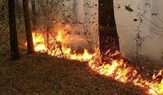 Doğum mərkəzində körpələrə azan oxunma otağı açıldı