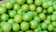 Bakıda kilosu 700 manata alça satılır - Video