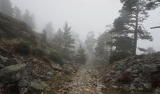 Müəmmalı yoxaçıxmalar davam edir(4)