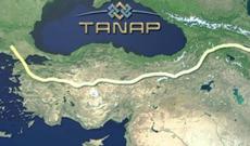 TANAP-la yayda Türkiyəyə qaz nəql etmək mümkün olacaq