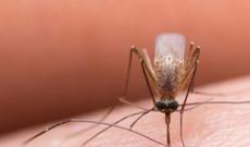 Afrikaya getmiş Azərbaycan vətəndaşında AĞIR XƏSTƏLİK AŞKARLANDI