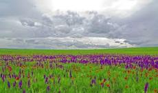 Sabah hava şəraitinin dəyişkən buludlu olacağı  gözlənilir