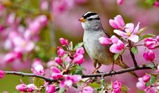 Sabah hava buludlu olacaq, yağış yağacaq