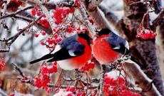 Sabah hava buludlu olacaq, bəzi yerlərdə yağış yağacaq